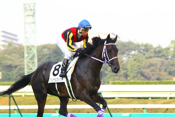 スペシャルウイッチ・返し馬